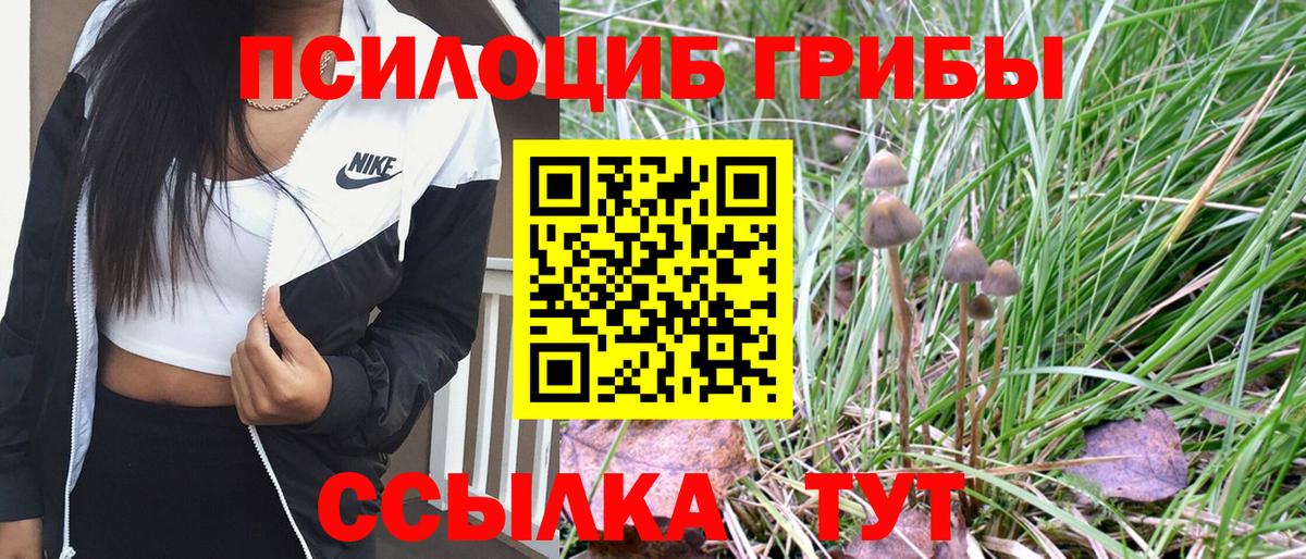 Псилоцибиновые грибы Magic Shrooms Вологда